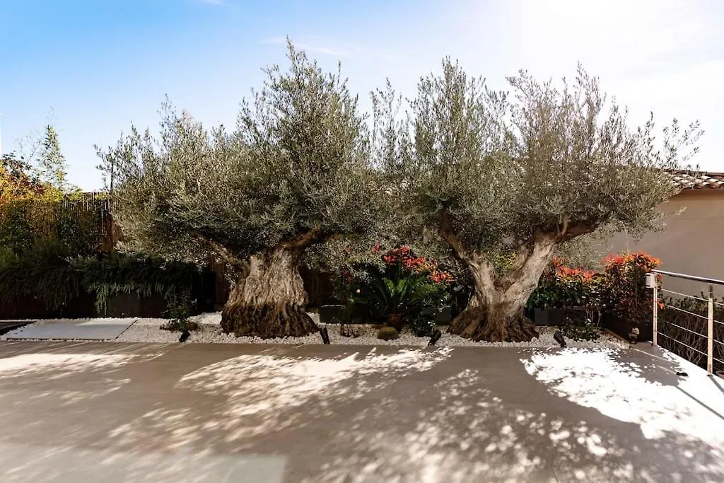 פלטחה ד'ארו Spa Luxury Villa ***** ספרד