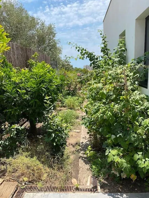 פלטחה ד'ארו Spa Luxury Villa ***** ספרד